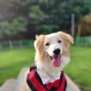 명창식당 이미지