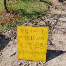 유곡면 운동장 이미지