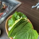 남촌민물장어 이미지