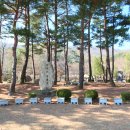 양평미리내캠프 이미지