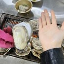 고전면 | 섬진강강굴식당｜하동 벚굴 가격·제철 시기 지금 먹기 좋은 이유 솔직 후기