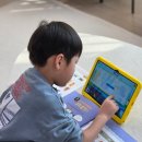 엄마가 먼저 배우는 코딩 | 5세 한글공부 재미있게 배우는 유아학습지 찐 후기