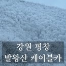 제일카프라자 | [강원 평창] 국내여행 추천 아이와 가볼만한 곳 평창 가족여행 발왕산 케이블카