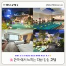 하루호텔 | 부산 롯데호텔 수영장 온수풀 디럭스 패밀리룸 영상 솔직후기 및 꿀팁
