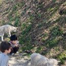 포니랜드 | "부산 근교 아기랑 갈만한 곳 | 울산 포니랜드 후기 (아이 체험 여행)"