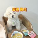 씨제이사료 | 듀먼 강아지 화식 간편하고 기호성도 좋은 자연식 전메뉴 다 먹어본 후기