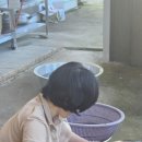 0711 처가 식사 이미지