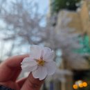 부흥슈퍼 | 부천역 근처 부천반점 낮술 가능 숨은 동네 맛집