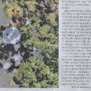 당림미술관 이미지