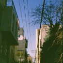 피닉스 | [전국대학사진동아리 연합 출사, 세 번째 이야기] 피닉스2 사용 후기