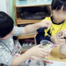 한여울유치원 | 어린이집/유치원 잔디인형 만들기 원예치료 수업 후기