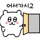 방주애견 네이버블로그