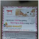 이쁘개 이동미용 이미지