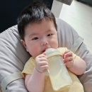 쓰담 | 배배쓰담 프로바이오틱스 먹여본 후기 🍓 6개월 아기유산균 추천하는 이유