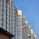 씨유 창원내동월드점 | 창원눈썹문신맛집 // 안아프지만 꼼꼼한 시술 // 수수샵