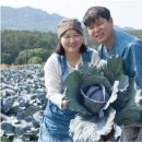 초호영농조합법인 이미지