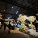 더원카써비스 이미지