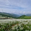 육백마지기 이미지