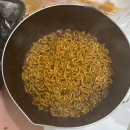 삼호핫오리 이미지