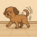 강북송도외과의원 이미지