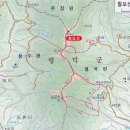 456 Daum카페