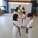 지웰MTA태권도 이미지