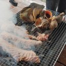 슈르르까 이미지