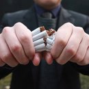 핏피티(Fit PT) 이미지