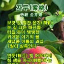 우경 이미지