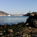 창선 가인리화석산지 이미지