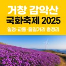 신원청연마을 | 거창 감악산 아스타국화 축제 2025 총정리: 일정, 교통, 즐길 거리 가이드