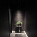 시안 | 해운대 센텀 가성비 오마카세 [스시시안] 솔직 후기