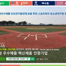 무안스포츠파크 유소년야구장 네이버블로그