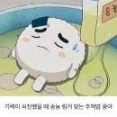 라온하제(즐거운 내일) | 라온하제 : 즐거운 내일🎶🎵