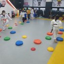 용인대튼튼태권도장 이미지