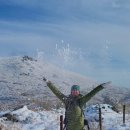 무등로2구간 이미지