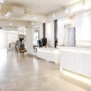 브로시스 이미지