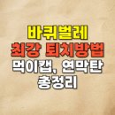 한국에어졸 | 바퀴벌레 퇴치방법 최강(+퇴치약 추천, 먹이캡, 연막탄 총정리)