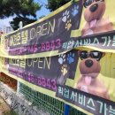 멍시앙 | 인천공항 애견호텔 멍시앙, 대만족한 후기!