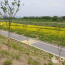 왕숙천변 이미지