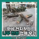 나무 | 화성 전지작업 나무 전정 업체 후기