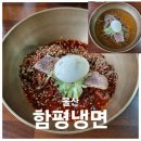 울산 중구 혼밥하기 좋은 함평냉면 가본 후기