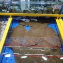 거북수산 - 동대문구 고산자로34길 41 | 거북수산