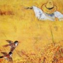 참새&허수아비 이미지