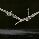 꿈이자라는문고 이미지