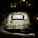 민화 속 반려동물 | 아이와 푸꾸옥 여행, 르 포레스트 리조트 솔직 후기 (수영장, 조식, 반려동물 동반)