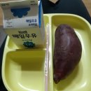 탐라 꿀순이 | 인간은 역시 망각의 동물 (+61일)