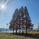 두물머리 | 소소함이 가득찬 양평 두물머리 나루터 여행 후기