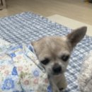 웃으면복이와요 이미지