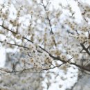 서구 구민운동장 입구 이미지